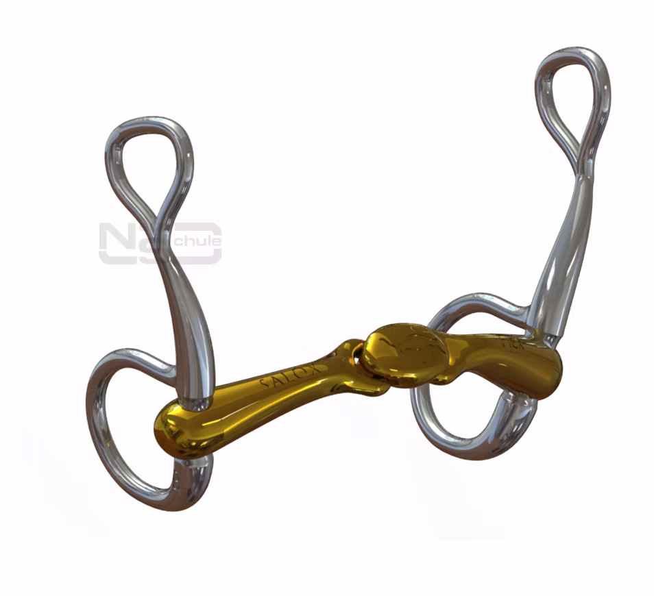 Neue Schule 7023B-TT Turtle Top Baucher / Hanging Cheek